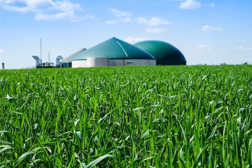 Biogasanlage umgeben von jungem Getriedebestand